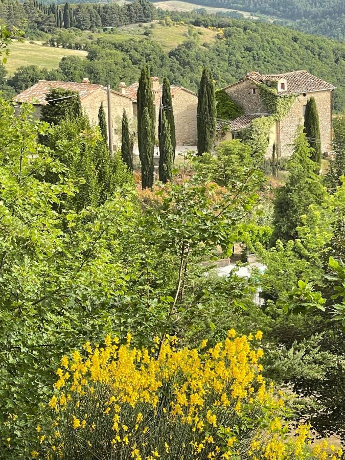 Country House Ca' Di Nieri - The Saints' Lodge Monte Santa Maria Tiberina المظهر الخارجي الصورة