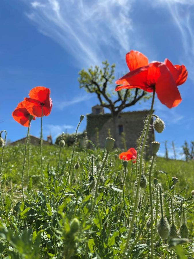 Country House Ca' Di Nieri - The Saints' Lodge Monte Santa Maria Tiberina المظهر الخارجي الصورة