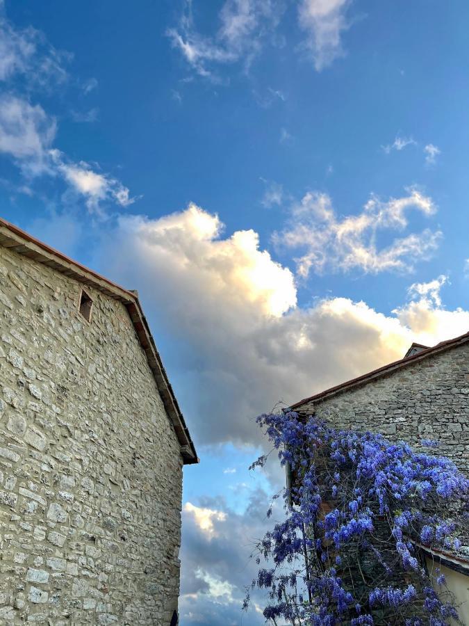 Country House Ca' Di Nieri - The Saints' Lodge Monte Santa Maria Tiberina المظهر الخارجي الصورة