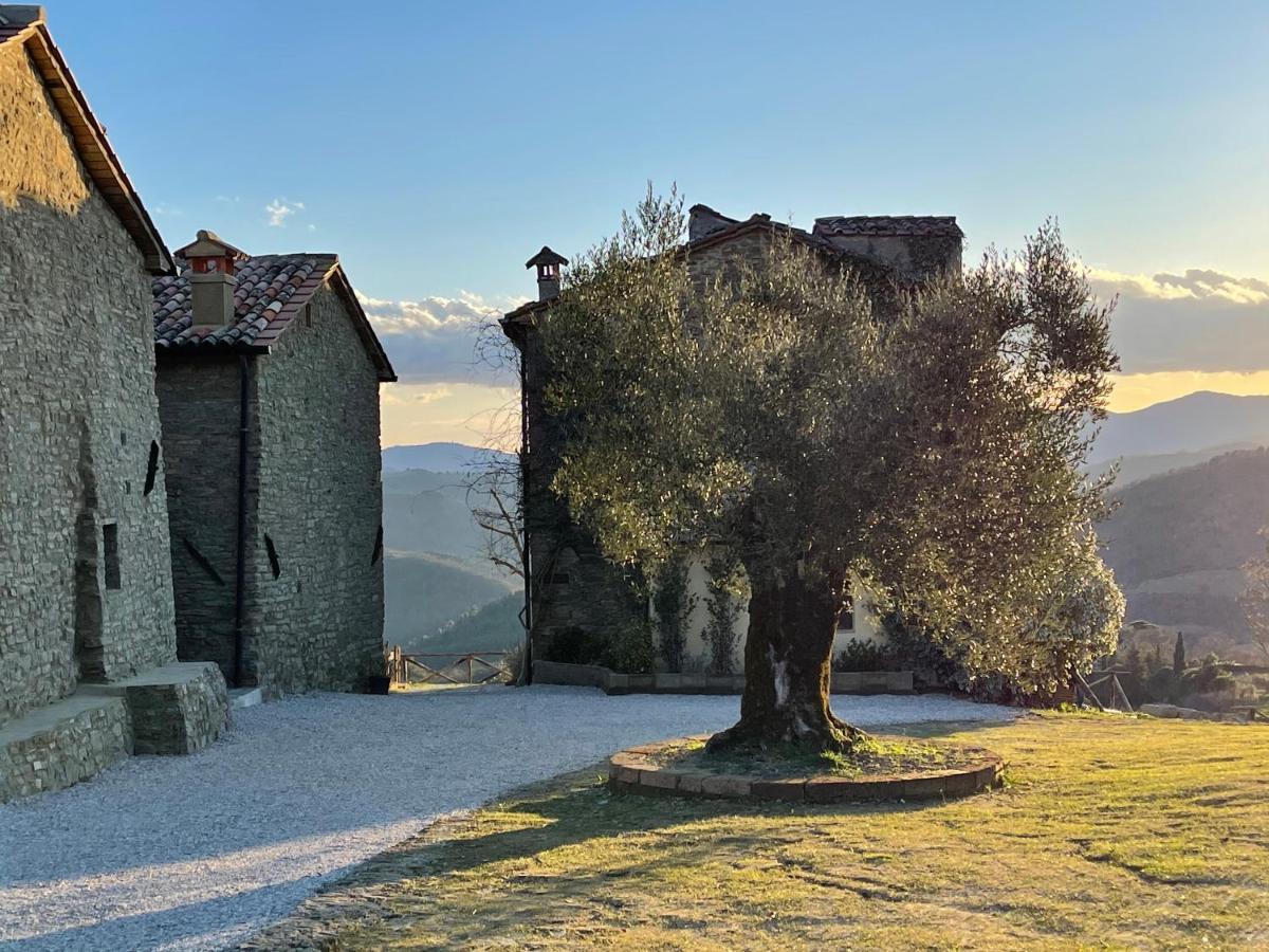 Country House Ca' Di Nieri - The Saints' Lodge Monte Santa Maria Tiberina المظهر الخارجي الصورة