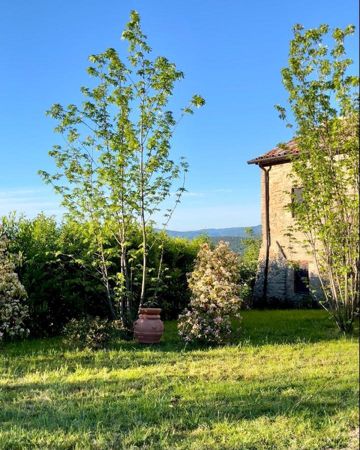 Country House Ca' Di Nieri - The Saints' Lodge Monte Santa Maria Tiberina المظهر الخارجي الصورة