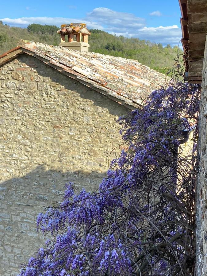 Country House Ca' Di Nieri - The Saints' Lodge Monte Santa Maria Tiberina المظهر الخارجي الصورة