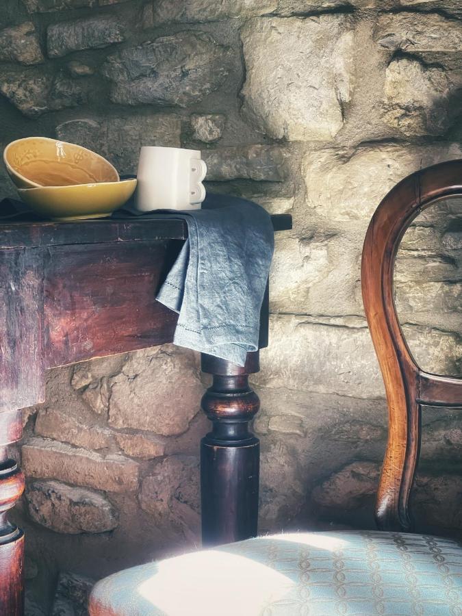 Country House Ca' Di Nieri - The Saints' Lodge Monte Santa Maria Tiberina المظهر الخارجي الصورة