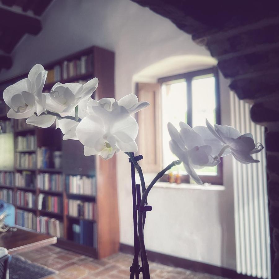 Country House Ca' Di Nieri - The Saints' Lodge Monte Santa Maria Tiberina المظهر الخارجي الصورة