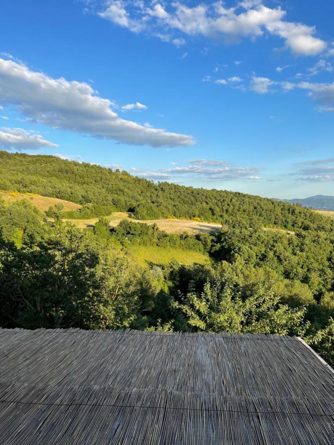 Country House Ca' Di Nieri - The Saints' Lodge Monte Santa Maria Tiberina المظهر الخارجي الصورة