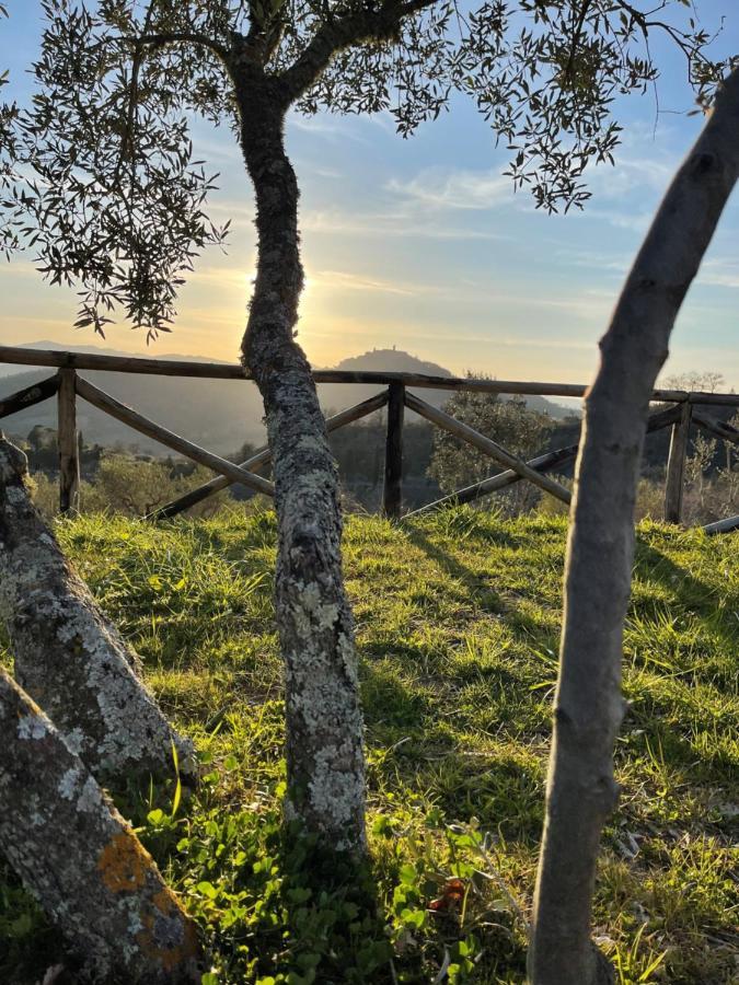 Country House Ca' Di Nieri - The Saints' Lodge Monte Santa Maria Tiberina المظهر الخارجي الصورة