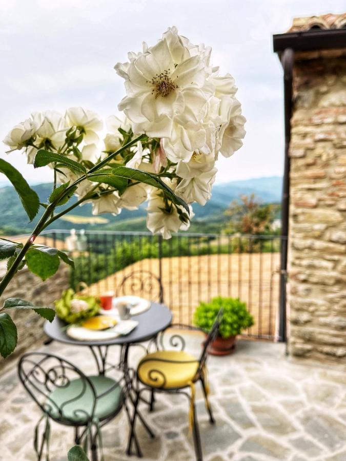 Country House Ca' Di Nieri - The Saints' Lodge Monte Santa Maria Tiberina المظهر الخارجي الصورة